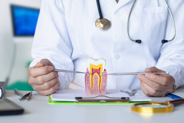Best Urgent Dental Care in Langdon, ND